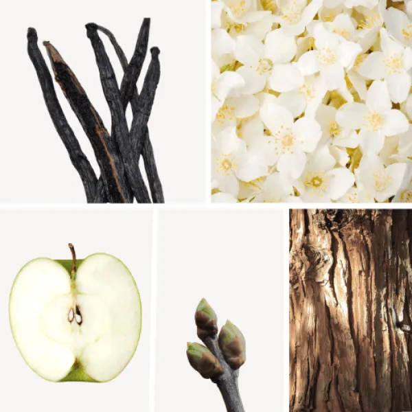 Duftnoten: Vanille, Jasmin, Apfel, schwarze Johanisbeerknospe